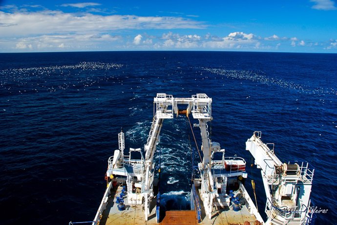 El IEO lidera un proyecto para avanzar hacia una gestión pesquera basada en los ecosistemas.