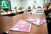 Andalucía licita por cuatro millones su servicio de atención psicológica para víctimas de violencia de género