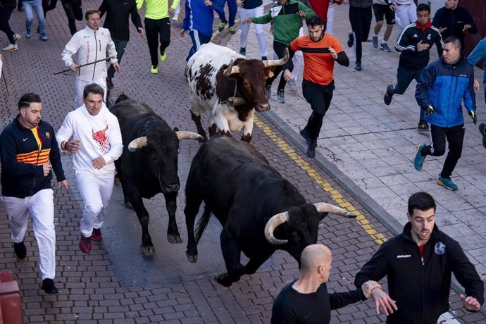 Los corredores junto a los toros durante el primer día de los encierros blancos de San Sebastián de los Reyes, a 20 de enero de 2024, en San Sebastián de los Reyes, Madrid (España).