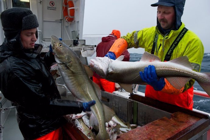 Consejo de Productos del Mar de Noruega