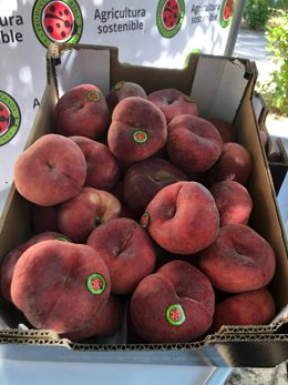 Archivo - Melocotones producidos en Catalunya.