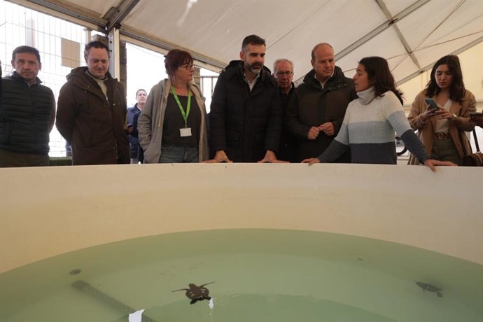 Vídeo de la noticia