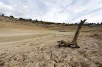 WWF y Ecologistas en Acción critican que el Gobierno andaluz no aborde "el exceso de demanda" de agua ante la sequía