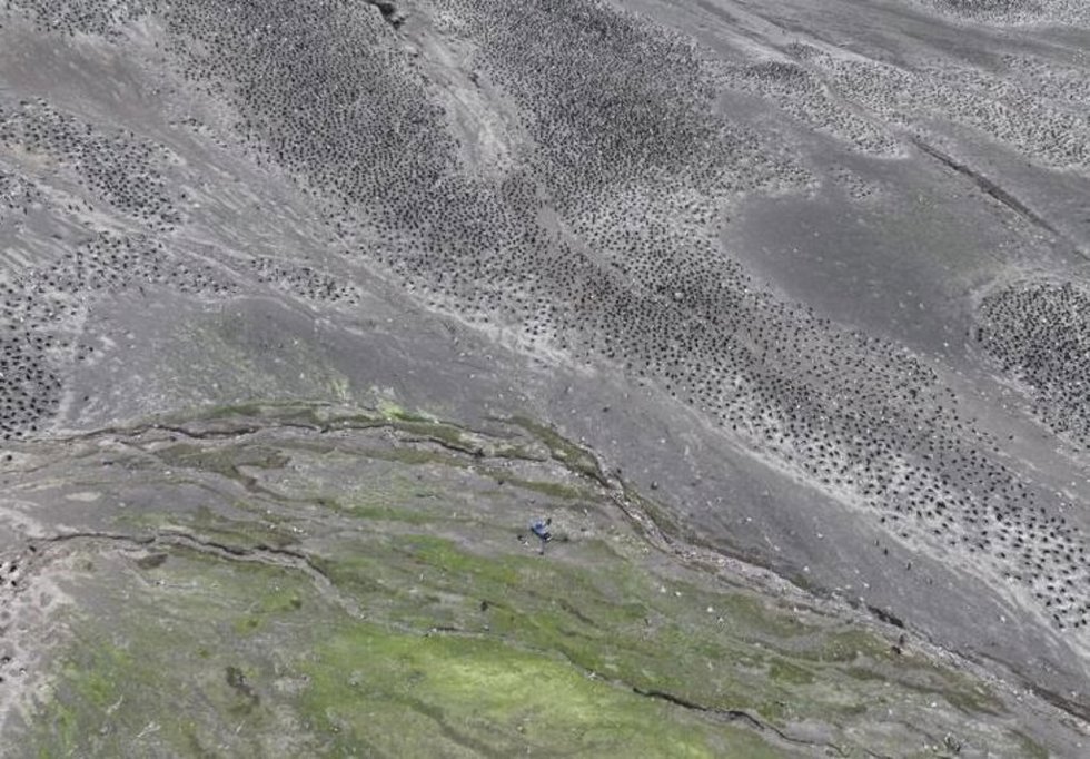 Imagen de dron de la isla Zavodovski