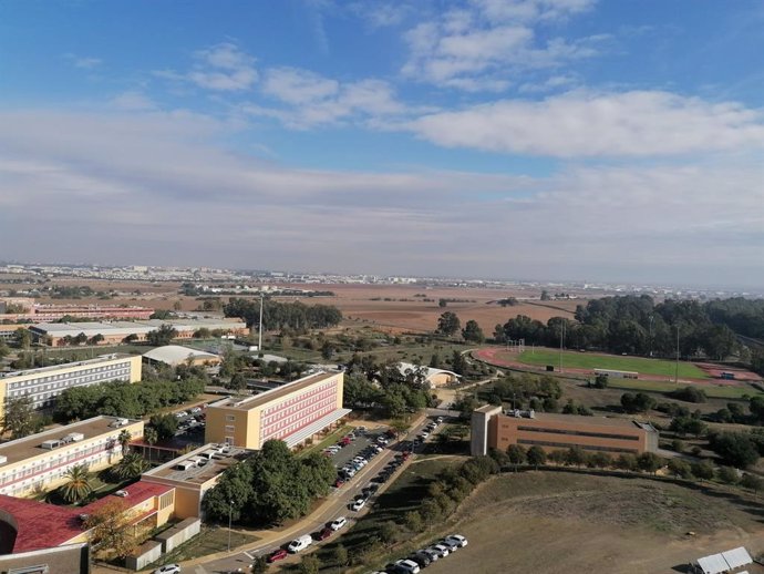Archivo - Vista aérea del campus de la Olavide.