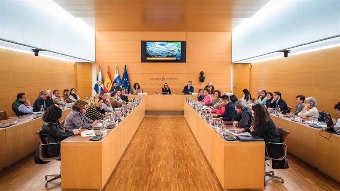 Reunión del Consejo Insular de Administración Territorial de Tenerife para abordar mejoras en la red de saneamiento, el empleo y el acceso a la vivienda