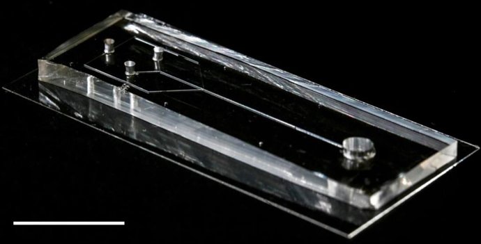 El dispositivo de microfluidos.