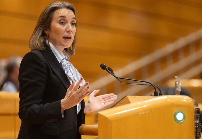 La secretaria general del Partido Popular, Cuca Gamarra, interviene durante el pleno del Congreso de los Diputados, en el Palacio del Senado, a 10 de enero de 2024, en Madrid (España). 