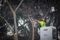 El Ayuntamiento convocará en febrero el Consejo Cívico y Social del Paisaje de la Luz tras once meses sin reunirlo