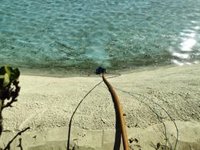 Torremolinos (Málaga) aprovecha el agua de un lago artificial para el riego de emergencia de especies vegetales