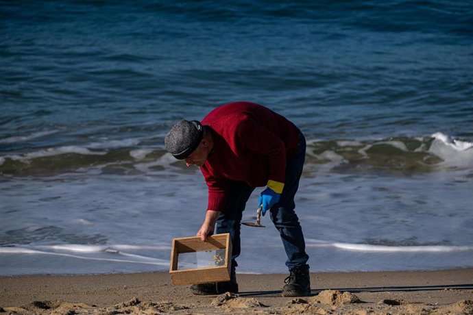 Voluntarios hacen una recogida de pellets de la arena 
