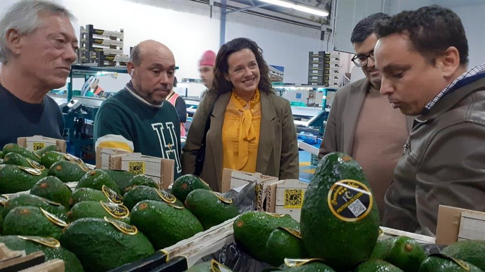 Visita a Frutas Los Cursos