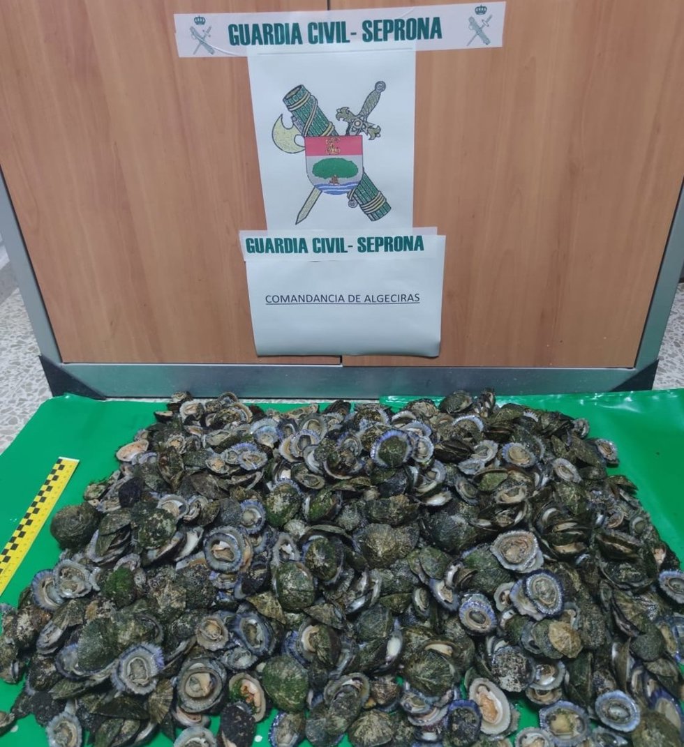 Lapas intervenidas en Tarifa.