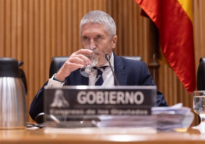 El ministro de Interior, Fernando Grande-Marlaska, en el Congreso de los Diputados