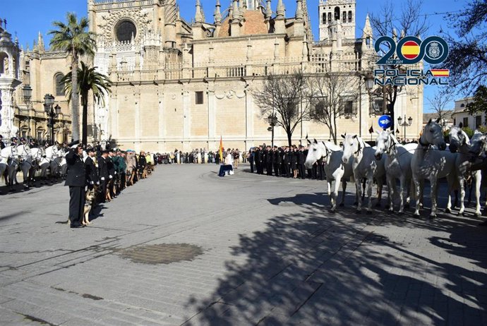 Vídeo de la noticia