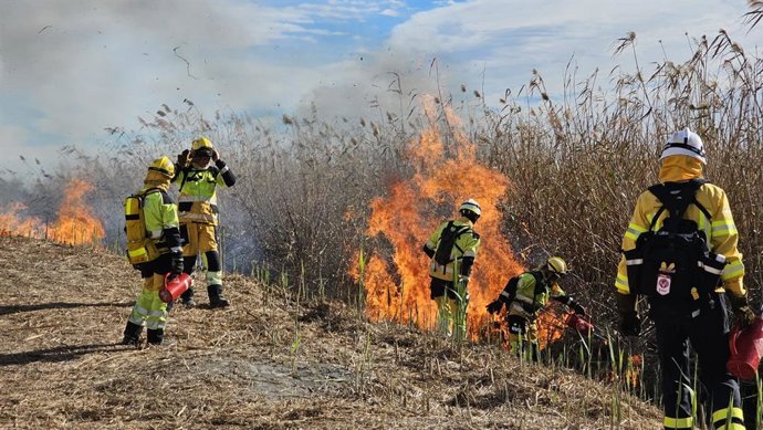 Bombers Forestals de la Generalitat realitzen una crema prescrita de deu hectrees de canyissars al parc del Fons Elx-Crevillent