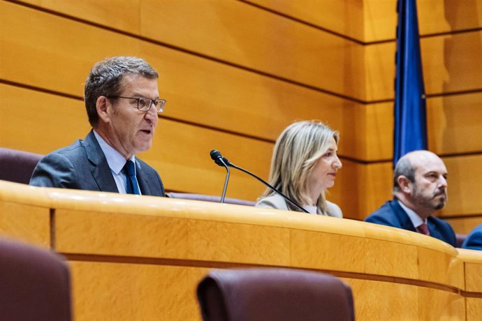 El presidente del Partido Popular, Alberto Núñez Feijóo (i), junto a la portavoz del PP en el Senado, Alicia García (c) y el presidente del Senado, Pedro Rollán (d), durante la reunión de los grupos parlamentarios del PP del Congreso y del Senado, en el