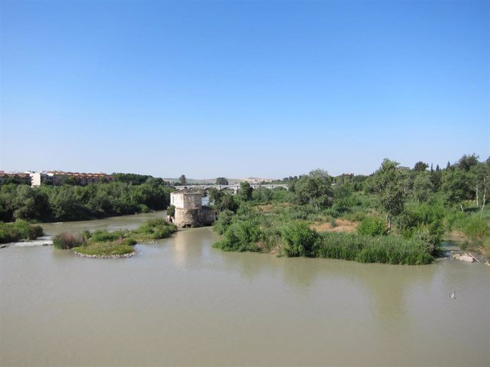 Archivo - Vista del río Guadalquivir desde el Puente Romano, con los puentes de San Rafael y de Andalucía al fondo, entre los que se sitúa el Cordel de Écija, en Córdoba.