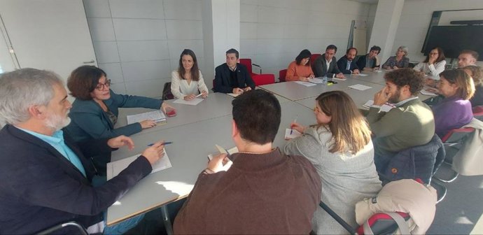 La consejera de Salud, Concepción Saavedra, se reúne con representantes de los colegios profesionales del ámbito sanitario.