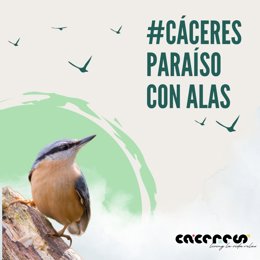 Cartel de la campaña de la Diputación de Cáceres para promocionar el turismo ornitológico