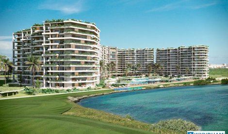 Comunicados Internacional