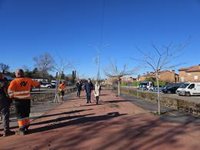 La alcaldesa de Guadalajara insiste en que la gestión indirecta de la grúa se basa en informes técnicos y jurídicos