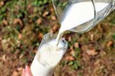 Foto: ¿La leche podría ayudar a prevenir el deterioro cognitivo asociado al envejecimiento?