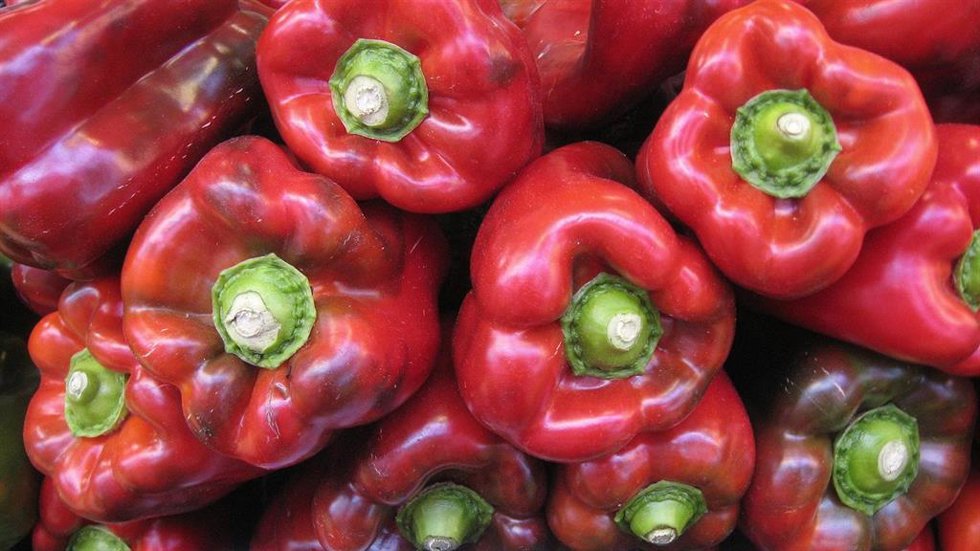 Pimiento rojo.