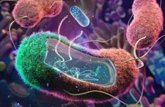 Foto: Nueva herramienta revela el comportamiento genético en bacterias