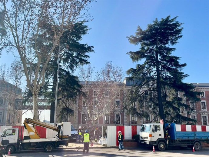 Obras de ampliación de la L11 de Metro que afectan a arbolado en los Jardines de Jimena Quirós, en Atocha