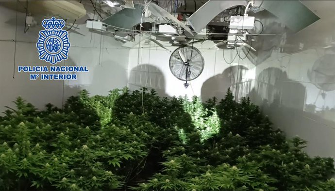 'Zulo' En Una Vivienda