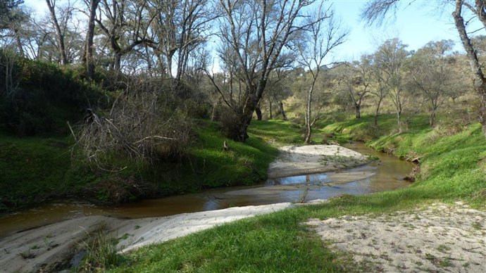 Arroyo en la provincia de Toledo.