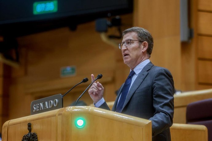 El líder del PP, Alberto Núñez Feijóo, interviene durante un pleno extraordinario del Congreso de los Diputados, en el Palacio del Senado, a 16 de enero de 2024, en Madrid (España). 