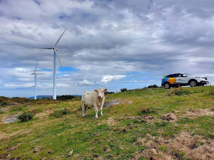 Iberdrola facilita a las empresas una calculadora gratuita para ahorrar en la factura y reducir las emisiones