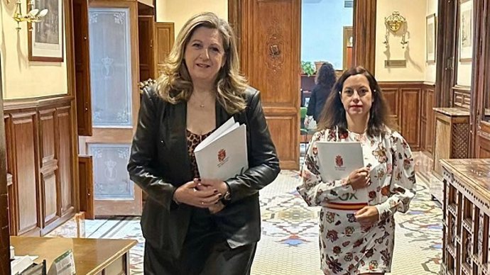 Vox rechaza una declaración institucional del PSOE porque "no define a Hamás como organización terrorista".