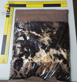 Paquete de cocaína que llevaba la joven cuando fue interceptado por la Guardia Civil en el puerto de Arrecife (Lanzarote)