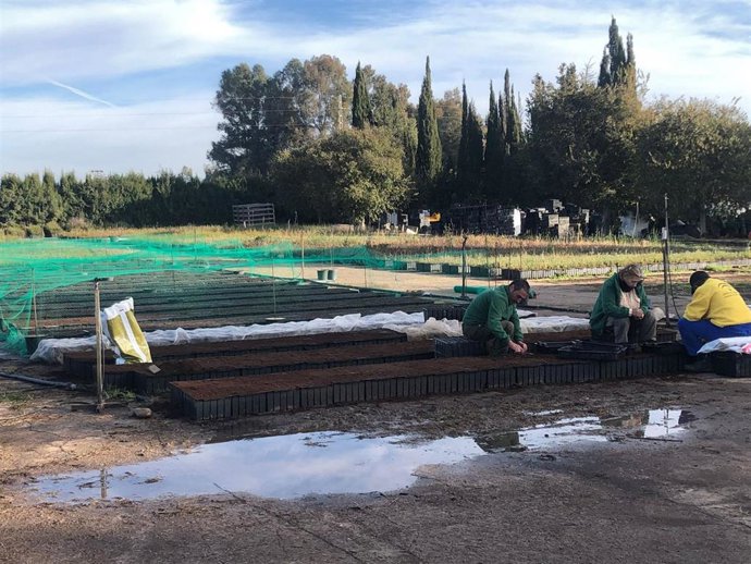 Alumnos de Secundaria participan en el programa ambiental que la Junta dedica a gestión forestal sostenible.