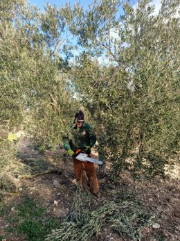 Endesa y Asaja forman a una treintena de agricultores malagueños en la zona de Teba.