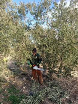 Endesa y Asaja forman a una treintena de agricultores malagueños en la zona de Teba.