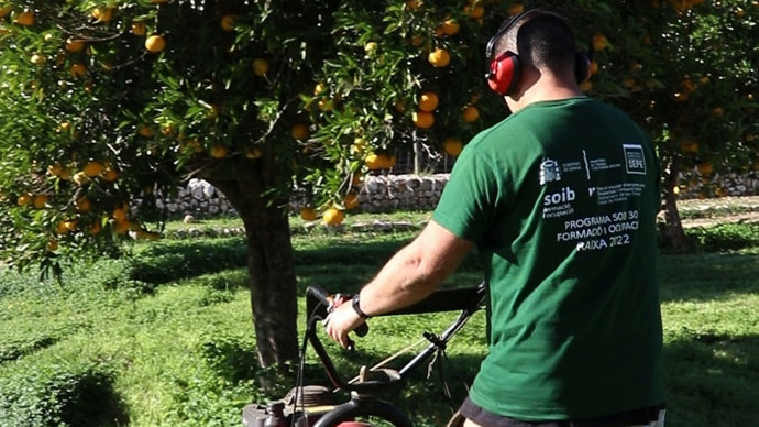 El IMAS y el SOIB abren la inscripción a los cursos de formación y de empleo Raixa 2023 para personas con discapacidad