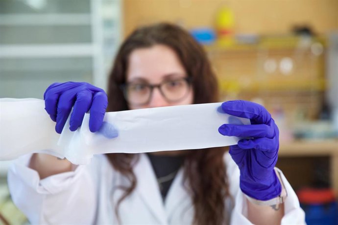 Investigadores de UA crean un material a partir de piñas que alarga un 15% la vida de productos cárnicos