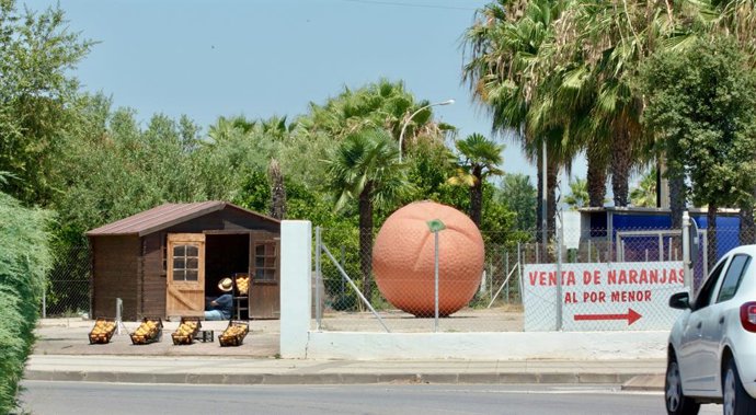 Archivo - Laura García Andreu dirige 'Domingo Domingo', una "agro-comedia" quijotesca frente a las multinacionales