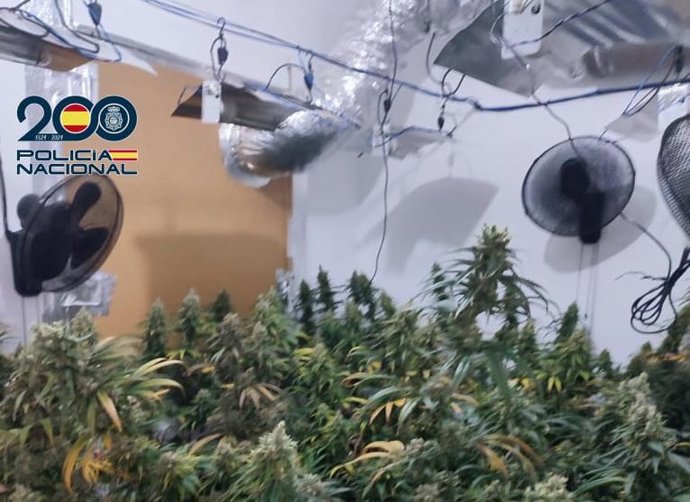 Interior de una de las habitaciones que usaba el matrimonio para cultivar marihuana.