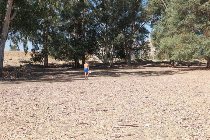 Archivo - Degradación de Lagunas temporales de Sevilla Este que no han sido incluidas en el Inventario Andaluz de Humedales, a 17 de agosto de 2023 en Sevilla (Andalucía, España).