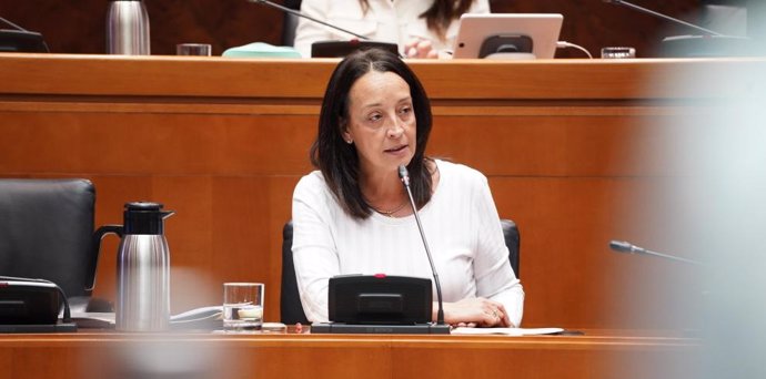 Archivo - La consejera de Bienestar Social y Familia del Gobierno de Aragón, Carmen Susín, ha expuesto los Presupuestos de su departamento para 2024.