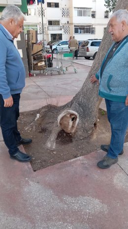 El concejal del PSOE Salvador Trujillo