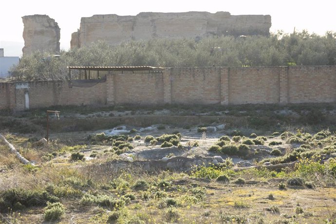 Yacimiento púnico-fenicio en Osuna (Sevilla), tapado por la Junta desde 2022 como "medida de conservación".