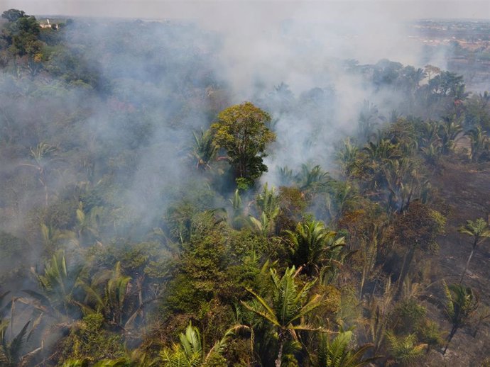 Archivo - Incendio en el Amazonas