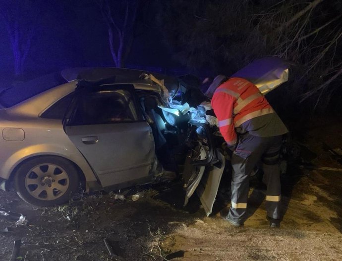 Un agente de la Policía Foral observa el vehículo accidentado.
