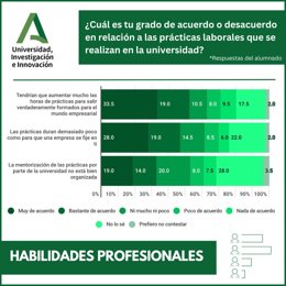 El 52,5% de los estudiantes que cursan grados en las universidades públicas de Andalucía considera que sería necesario incrementar mucho las horas de prácticas laborales con el objetivo de salir verdaderamente formados para el mundo laboral.